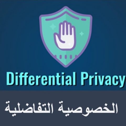 الخصوصية التفاضلية (Differential Privacy)